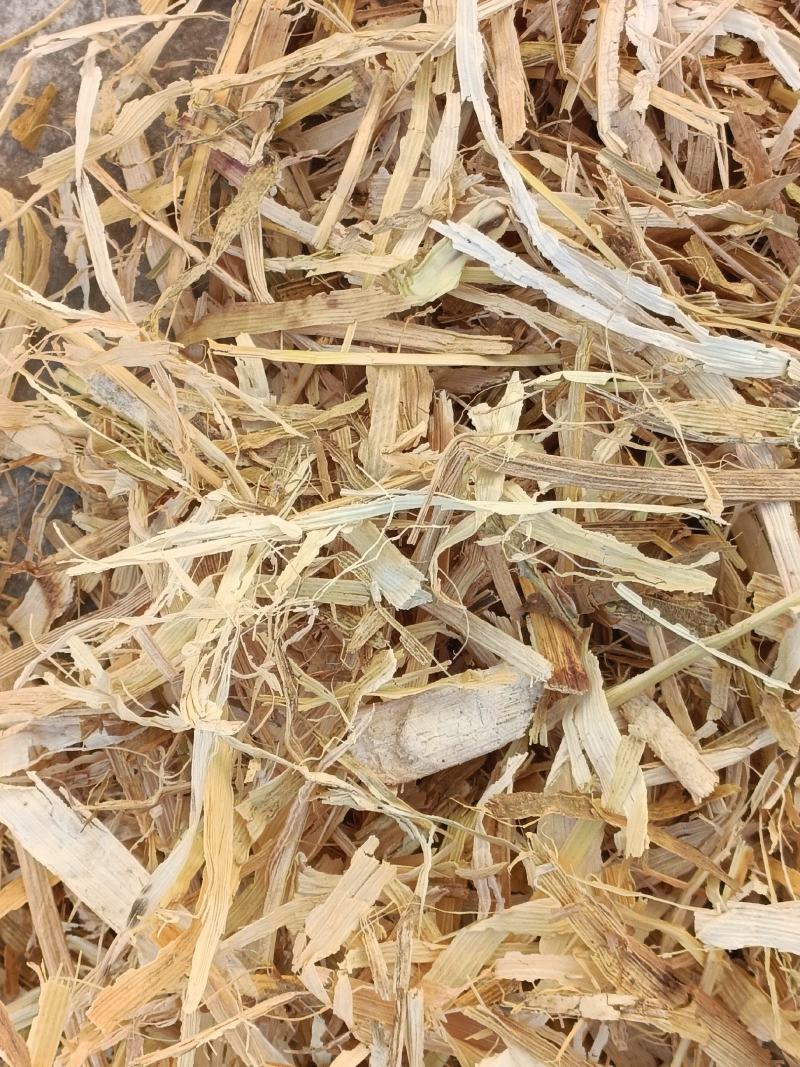 柔丝玉米秸秆草干净无霉变牛羊马养殖草料批发秸秆