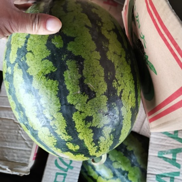 精品甜王西瓜，瓤红多汁糖份高，质量保障，价格实惠