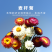 麦杆菊种子腊菊种籽景观花卉园艺盆栽观花庭院绿化切花工艺