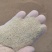 黄粉虫，黄粉虫虫沙