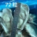 原浆冻半壳牡蛎