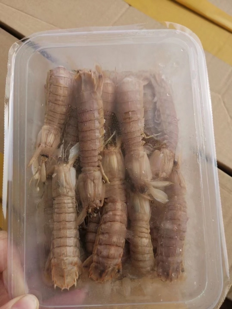 熟冻皮皮虾，无包冰，厂家直销