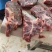 多肉牛脖骨，精品，鲜货中的精品，片，块随心定都可以