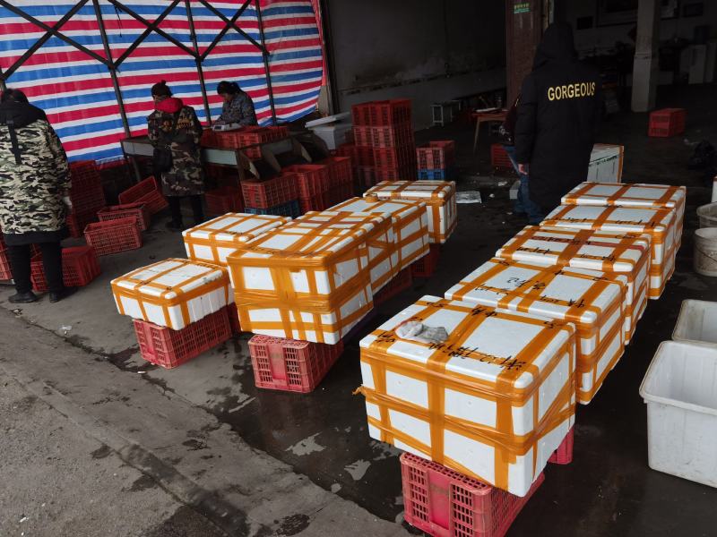海锐水产专注于正宗潜江清水小龙虾品质保证值得信赖！
