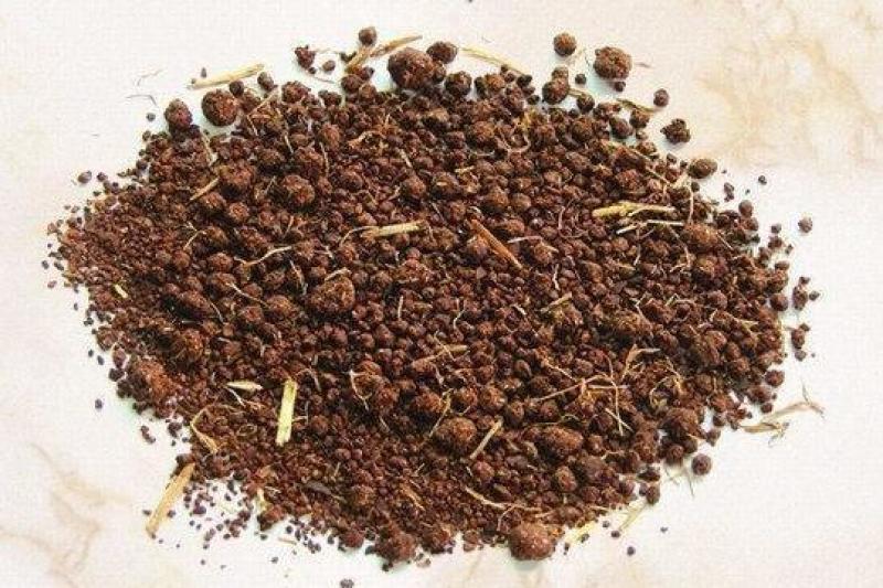 湖南特产厂家现货质优价廉茶粕量大优惠无中间商常年供应