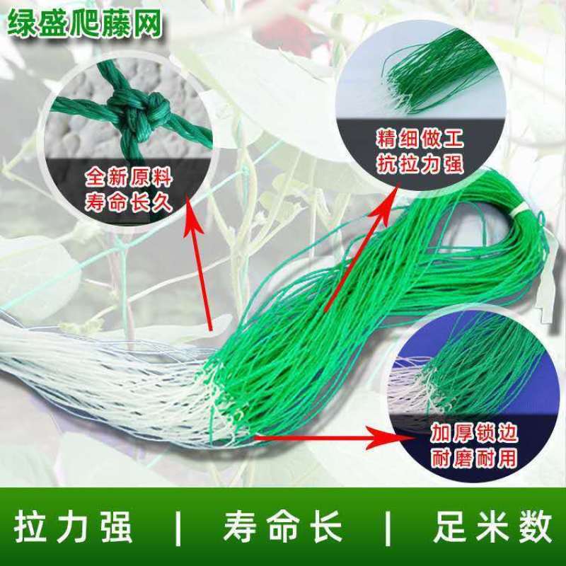 植物爬藤网山药豆角黄瓜苦瓜攀爬蔬菜瓜果种植百香果吊瓜网
