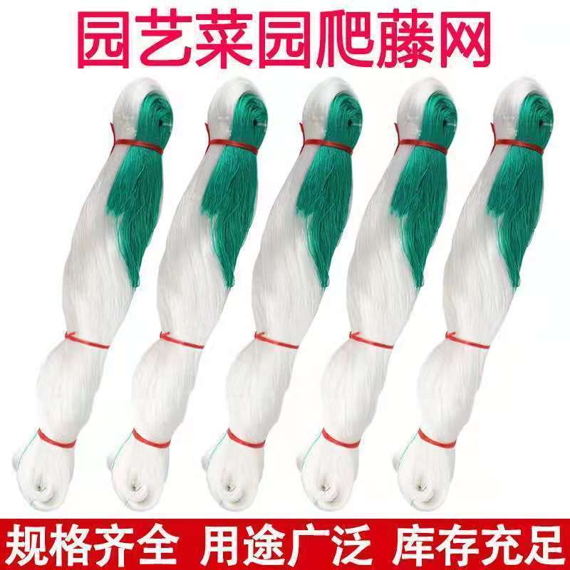 植物爬藤网山药豆角黄瓜苦瓜攀爬蔬菜瓜果种植百香果吊瓜网