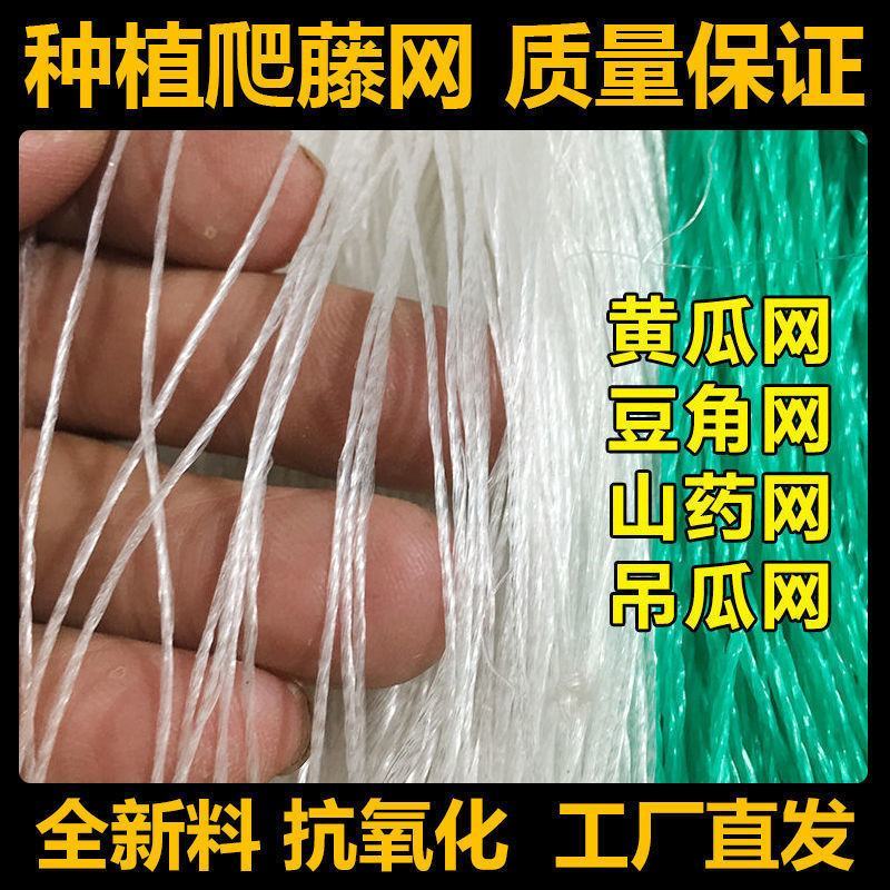 植物爬藤网山药豆角黄瓜苦瓜攀爬蔬菜瓜果种植百香果吊瓜网