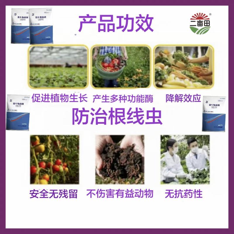 淡紫拟青霉微生物菌剂根线虫的克星，有效活菌50亿