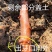面包木薯