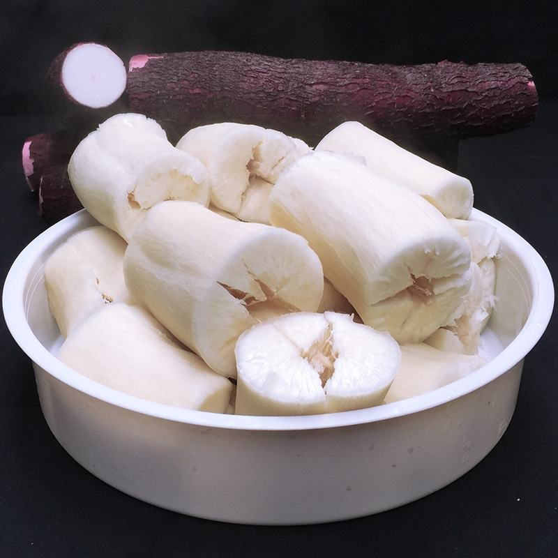 面包木薯