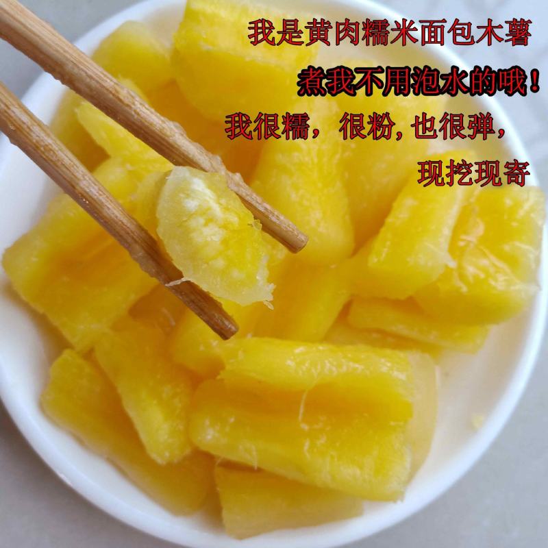 面包木薯