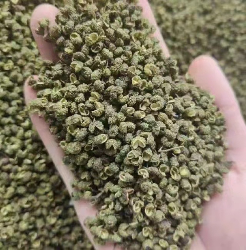 金阳青花椒