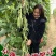 早熟一尺嫩架豆种子四季豆角种籽芸豆搭架大田春夏秋播蔬菜种
