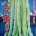 早熟一尺嫩架豆种子四季豆角种籽芸豆搭架大田春夏秋播蔬菜种