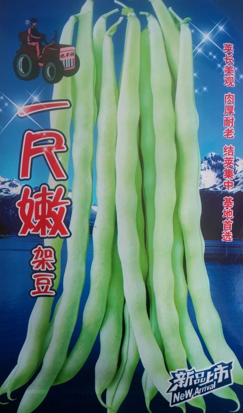 早熟一尺嫩架豆种子四季豆角种籽芸豆搭架大田春夏秋播蔬菜种