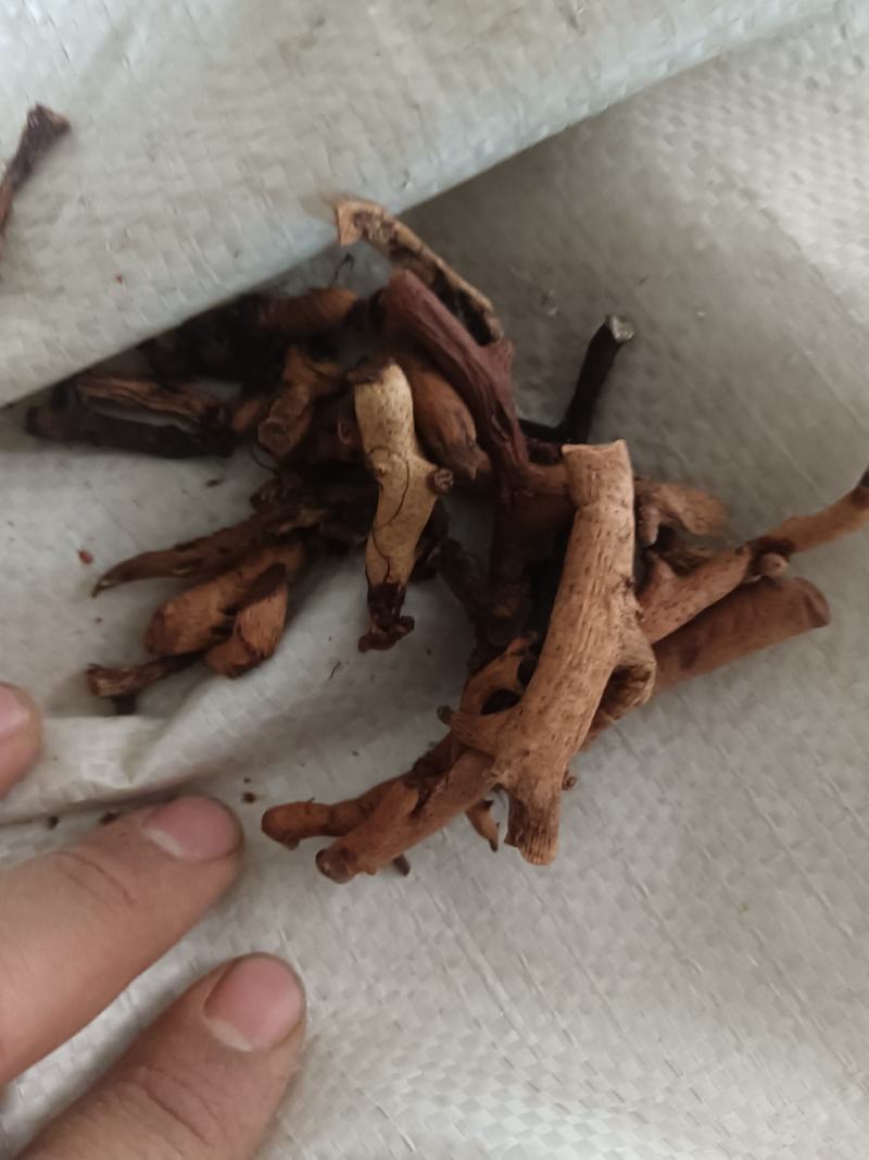 骨碎补除尘含量够正品各个规格齐全
