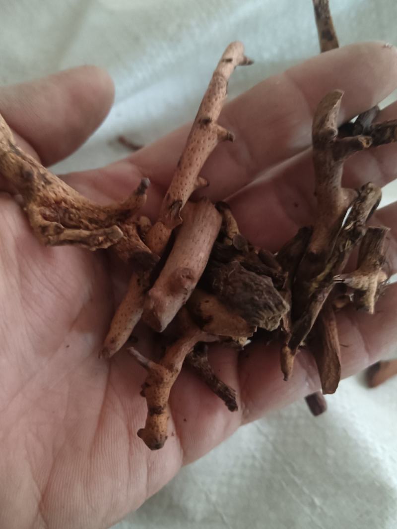 骨碎补除尘含量够正品各个规格齐全