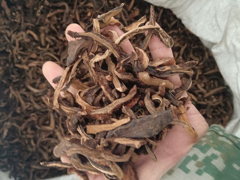 骨碎补除尘含量够正品各个规格齐全