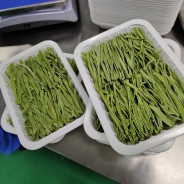 优质贡菜干精品小包装电商一件代发，大量现货需要的下单了