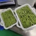 优质贡菜干精品小包装电商一件代发，大量现货需要的下单了