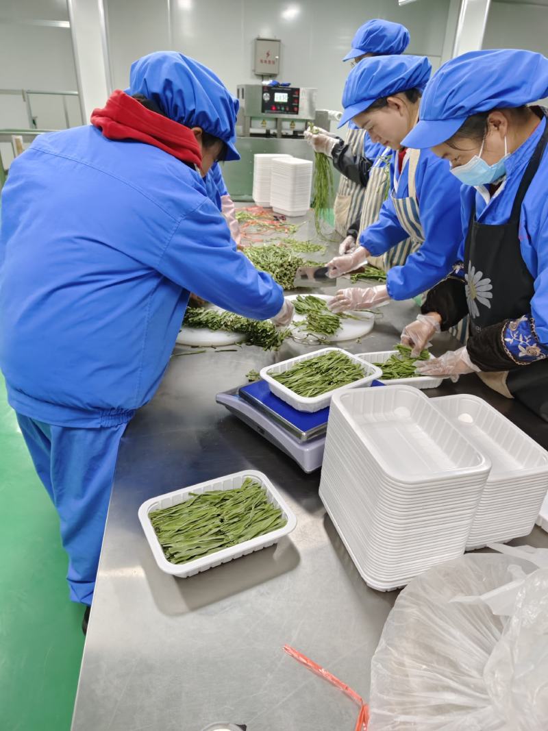 优质贡菜干精品小包装电商一件代发，大量现货需要的下单了