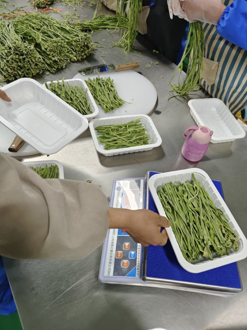 优质贡菜干精品小包装电商一件代发，大量现货需要的下单了