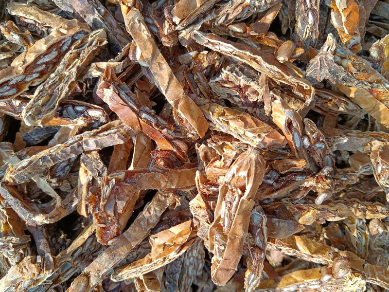 瓜蒌货干颜色漂亮货饱满小选货