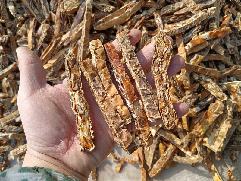 瓜蒌货干颜色漂亮货饱满小选货