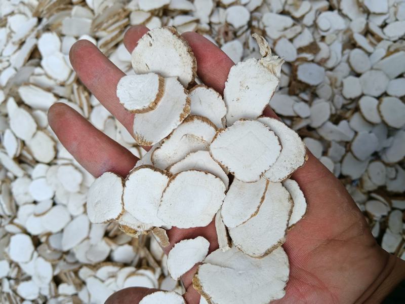 白芷货干l颜色好味道浓选货