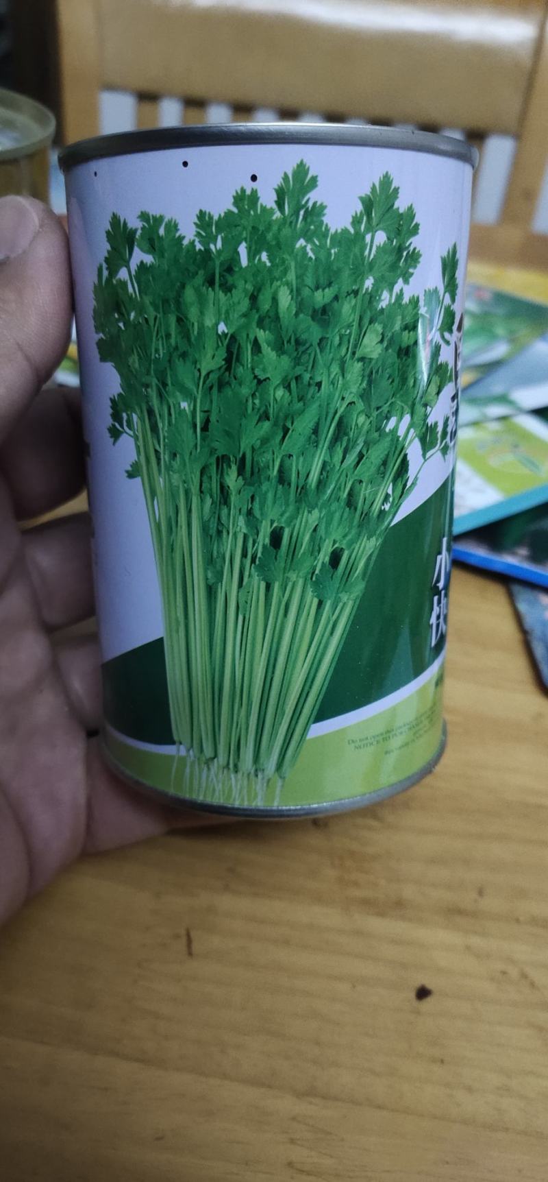 小芹菜种子皇家小快早熟，生长势强，株型紧凑直立性好