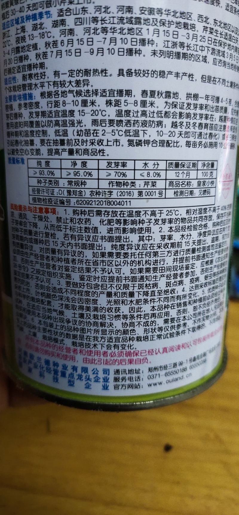 小芹菜种子皇家小快早熟，生长势强，株型紧凑直立性好