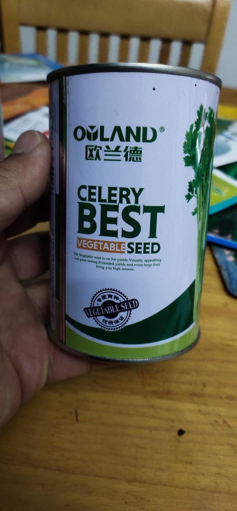 小芹菜种子皇家小快早熟，生长势强，株型紧凑直立性好