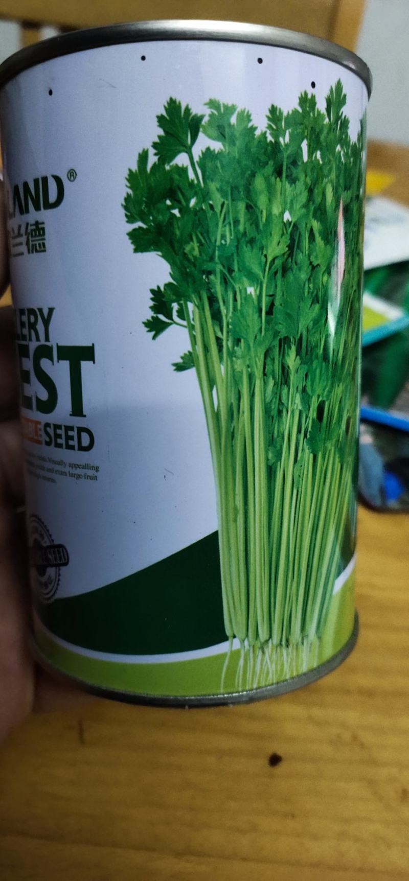 小芹菜种子皇家小快早熟，生长势强，株型紧凑直立性好