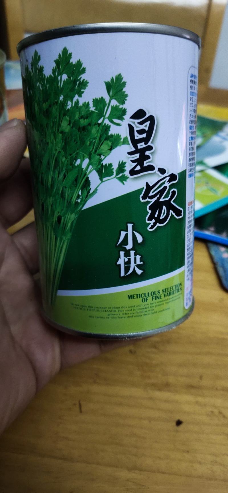 小芹菜种子皇家小快早熟，生长势强，株型紧凑直立性好