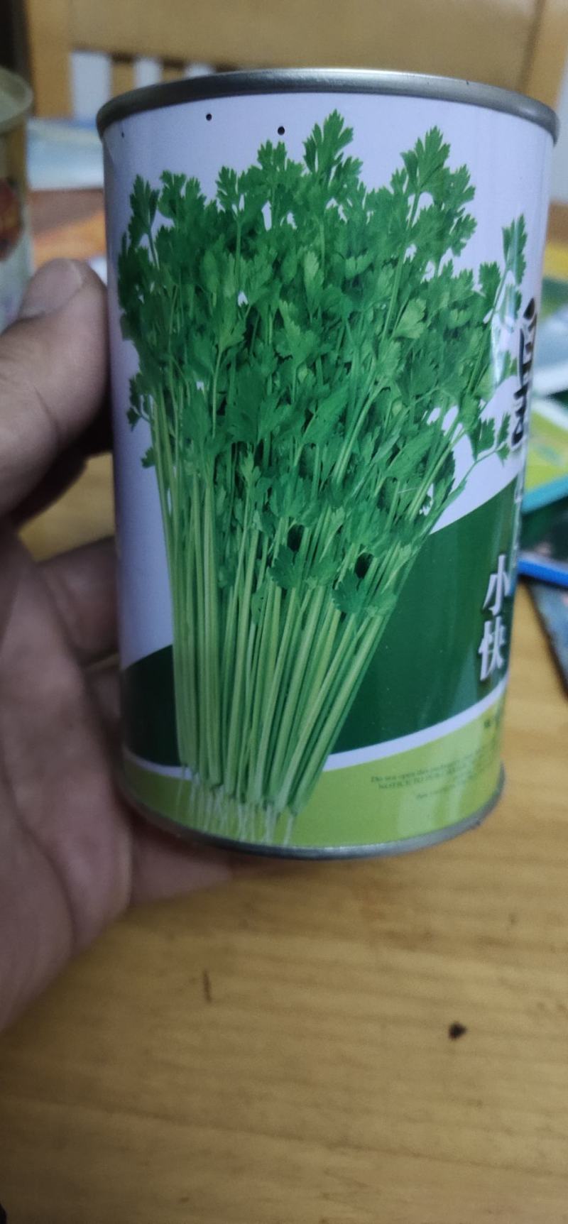 小芹菜种子皇家小快早熟，生长势强，株型紧凑直立性好