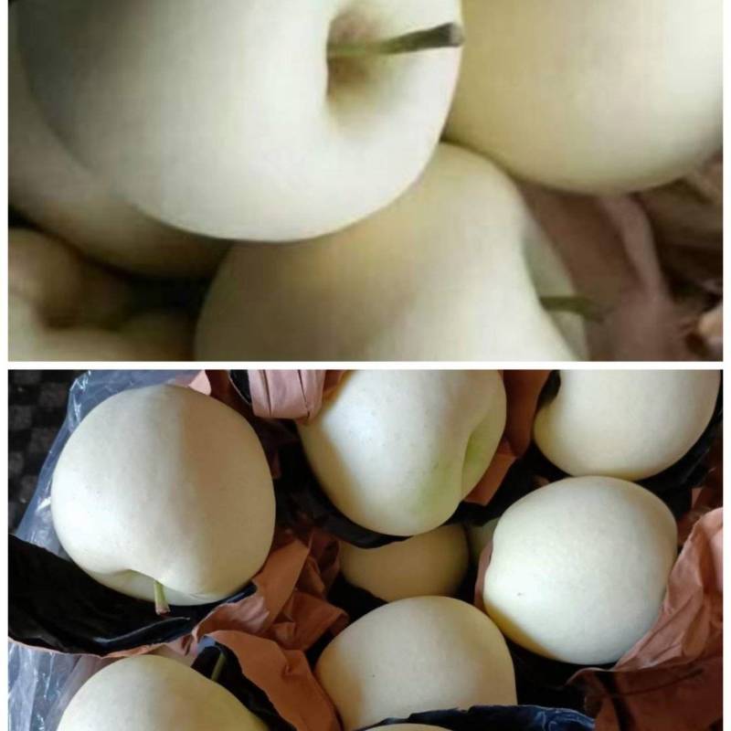 黄元帅苹果