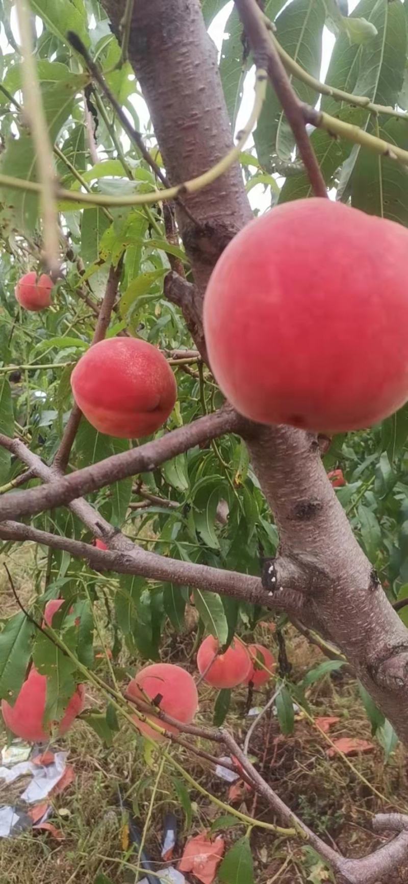 突围