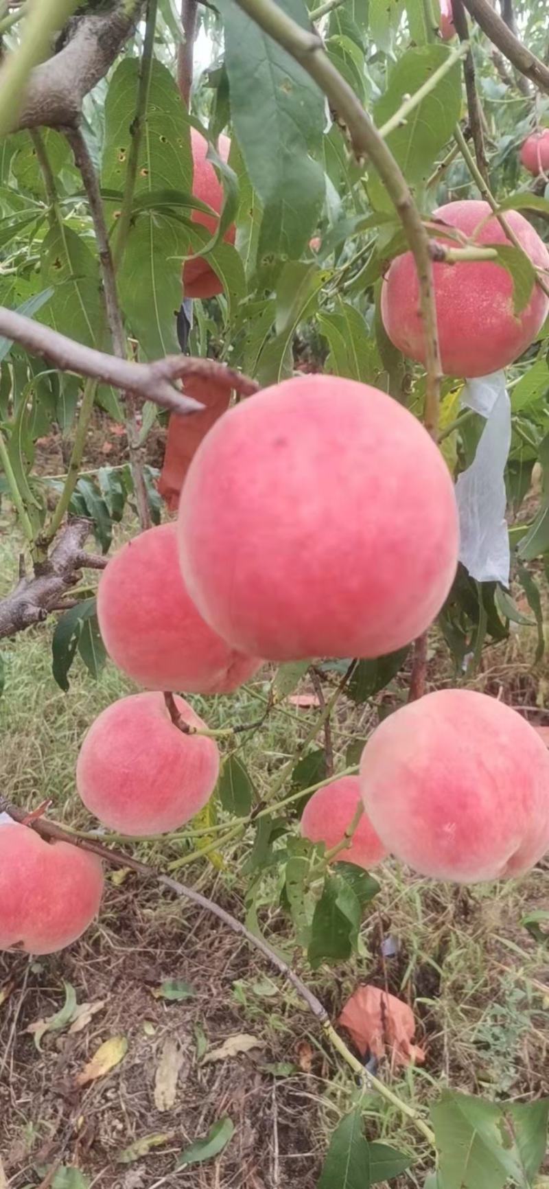突围