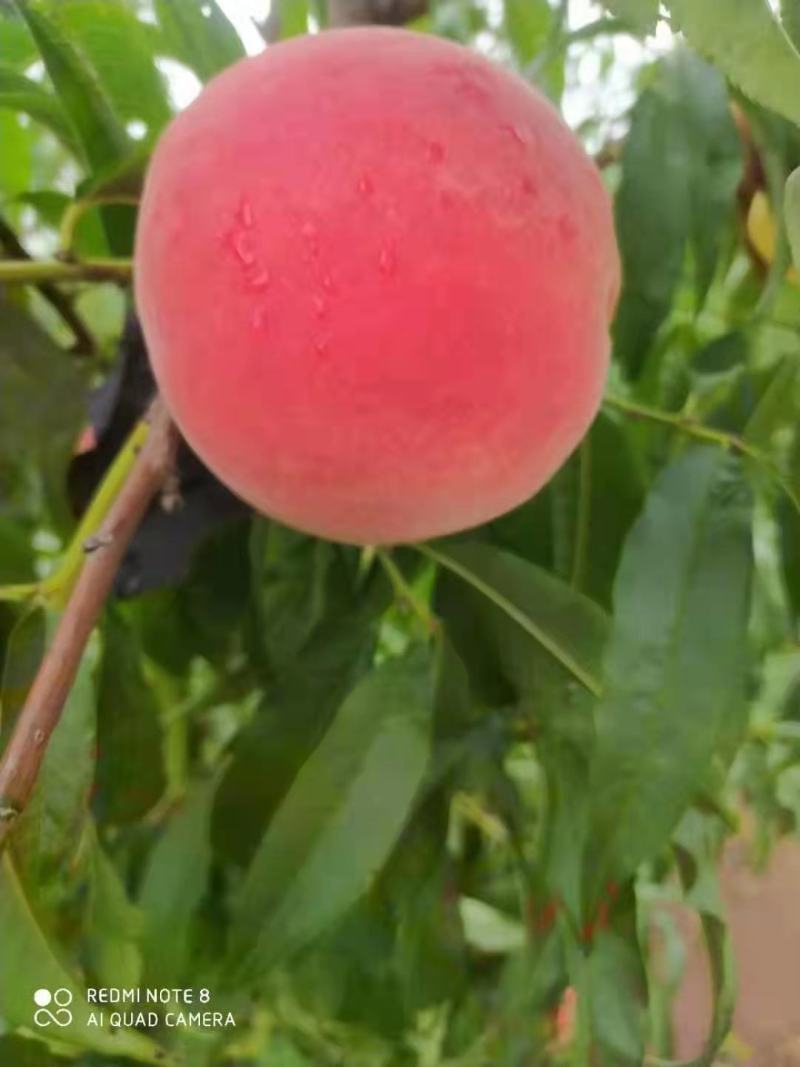 突围
