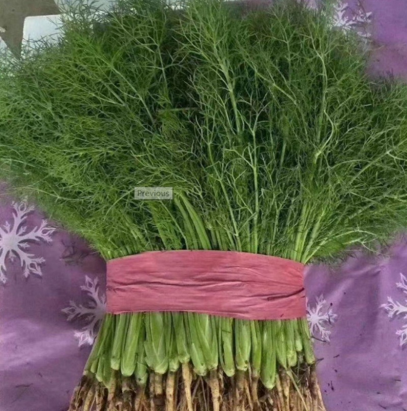 茴香河北茴香全国发货可视频看货量大从优基地直供