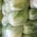 【热销】白菜河北大白菜全国发货可视频看货量大从优