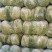 【热销】白菜河北大白菜全国发货可视频看货量大从优