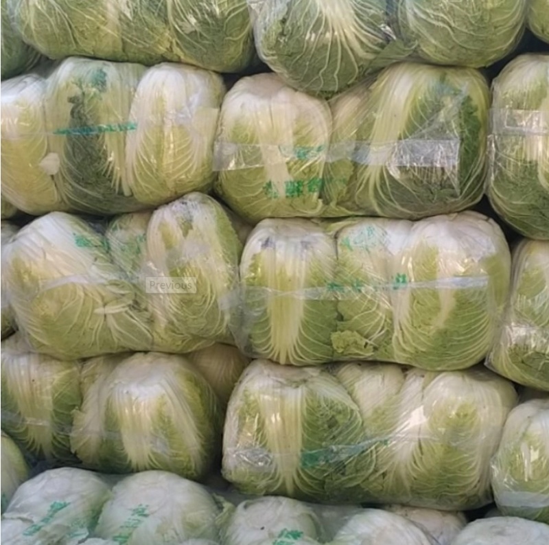 【热销】白菜河北大白菜全国发货可视频看货量大从优