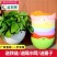 厂家直销加厚吊篮悬挂式垂吊花盆塑料树脂绿萝盆栽绿植吊兰盆