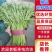 【推荐】河北茼蒿大量供应全国发货基地直供欢迎选购