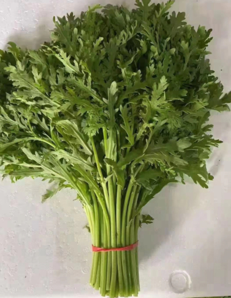 【推荐】河北茼蒿大量供应全国发货基地直供欢迎选购
