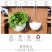 厂家直销加厚吊篮悬挂式垂吊花盆塑料树脂绿萝盆栽绿植吊兰盆
