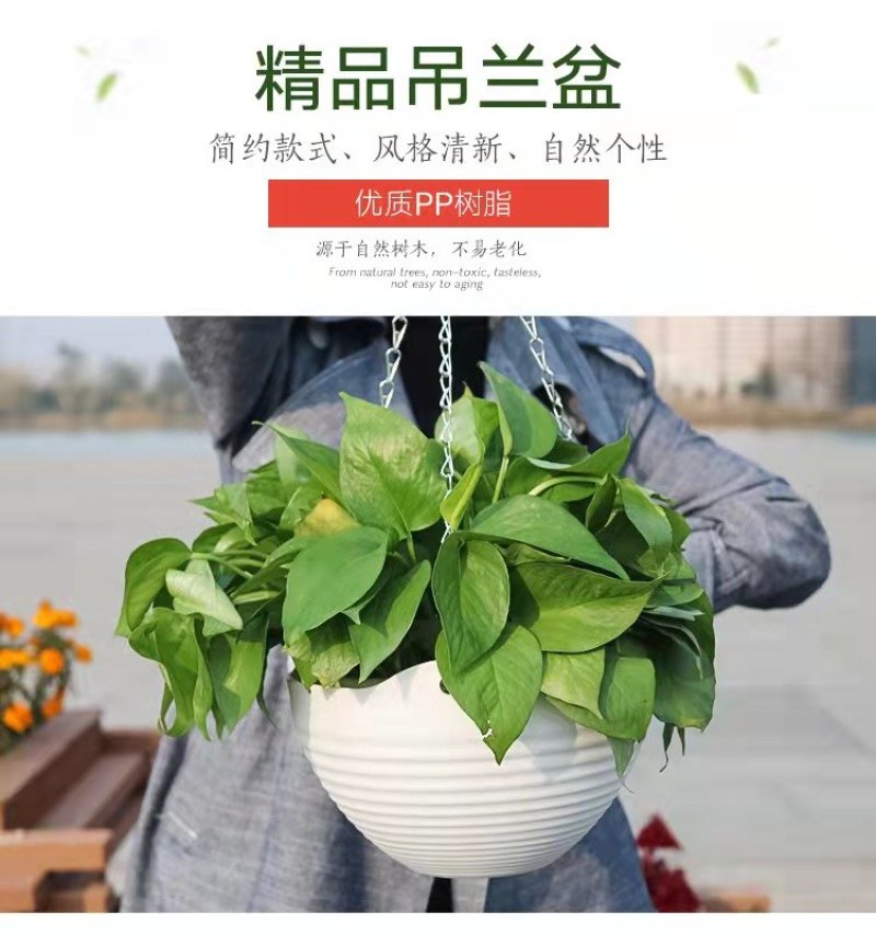 厂家直销加厚吊篮悬挂式垂吊花盆塑料树脂绿萝盆栽绿植吊兰盆