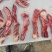 牛腹肋条，国产纯干牛腹肋条肉，价格合适，厂家直发，量大从